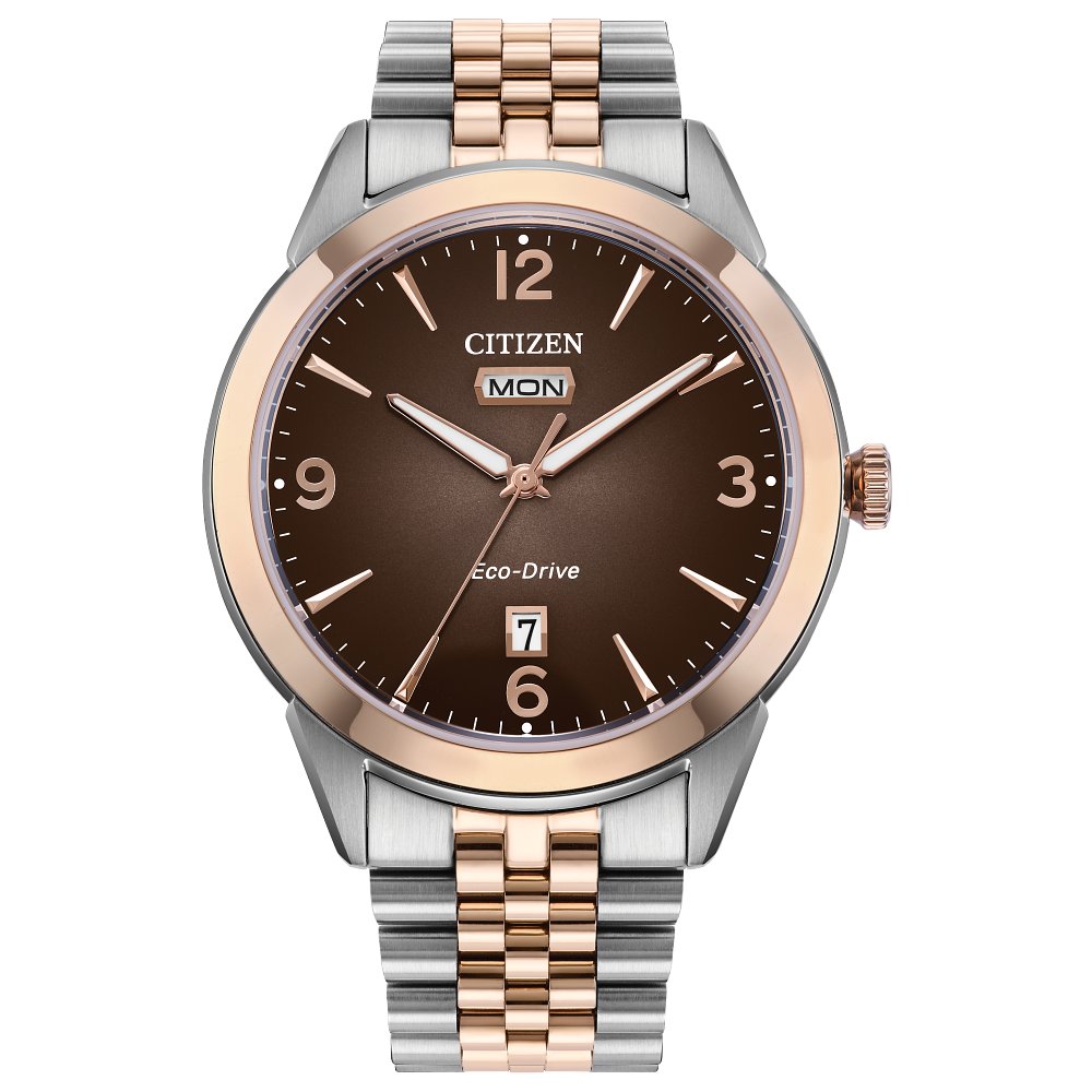 MEN ECO WR100 SSTRG BRAC BRWN
