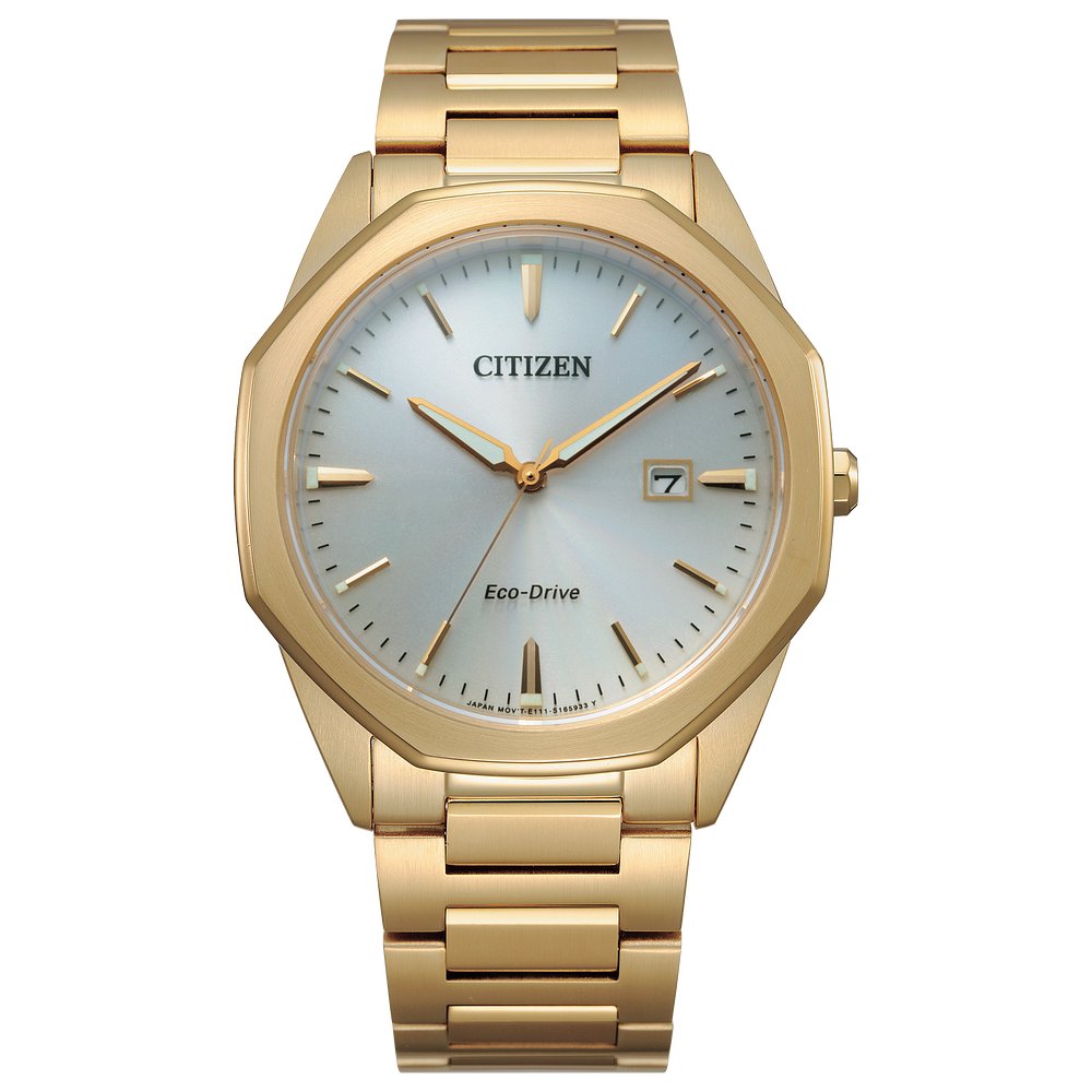 MEN ECO WR100 SSG BRAC SLVR