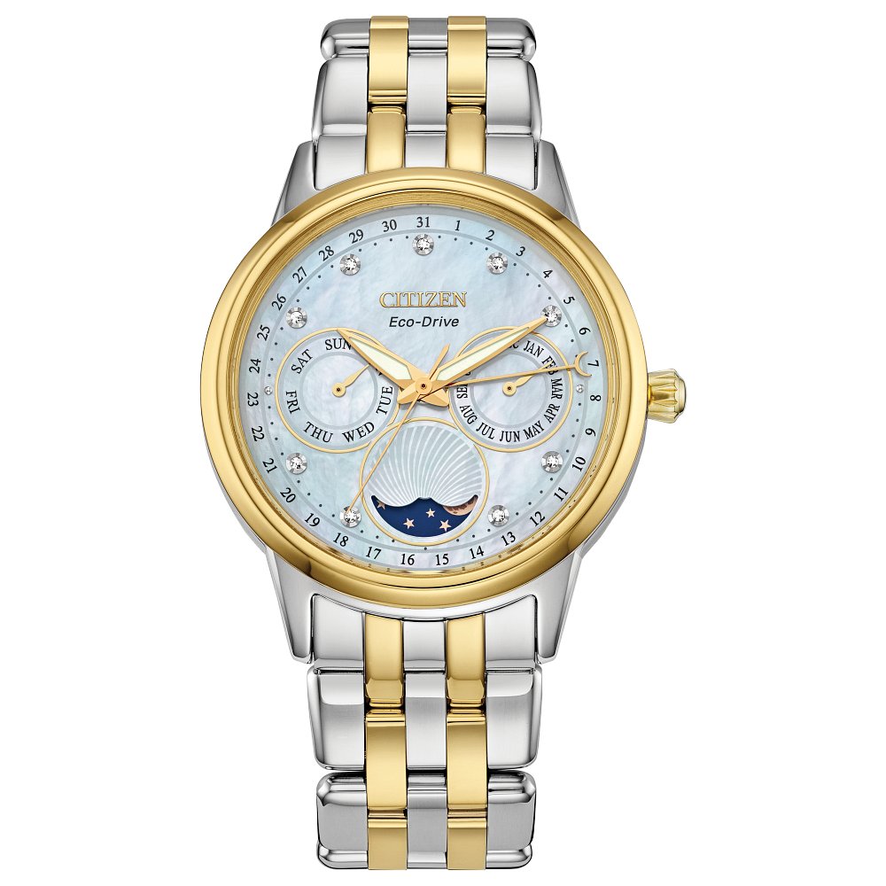 MEN ECO WR100 SST BRAC BLUE