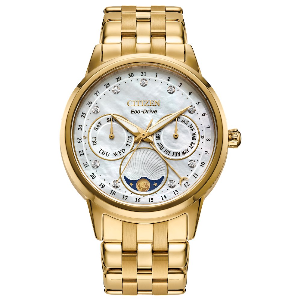 LAD ECO WR50 SST BRAC WHTE