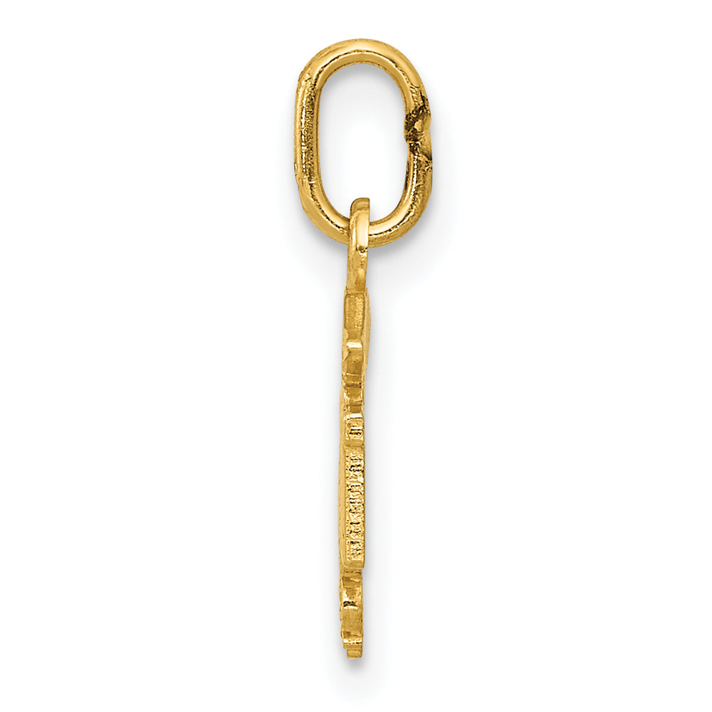 14k Diamond-cut Polished RN Nurse Pendant