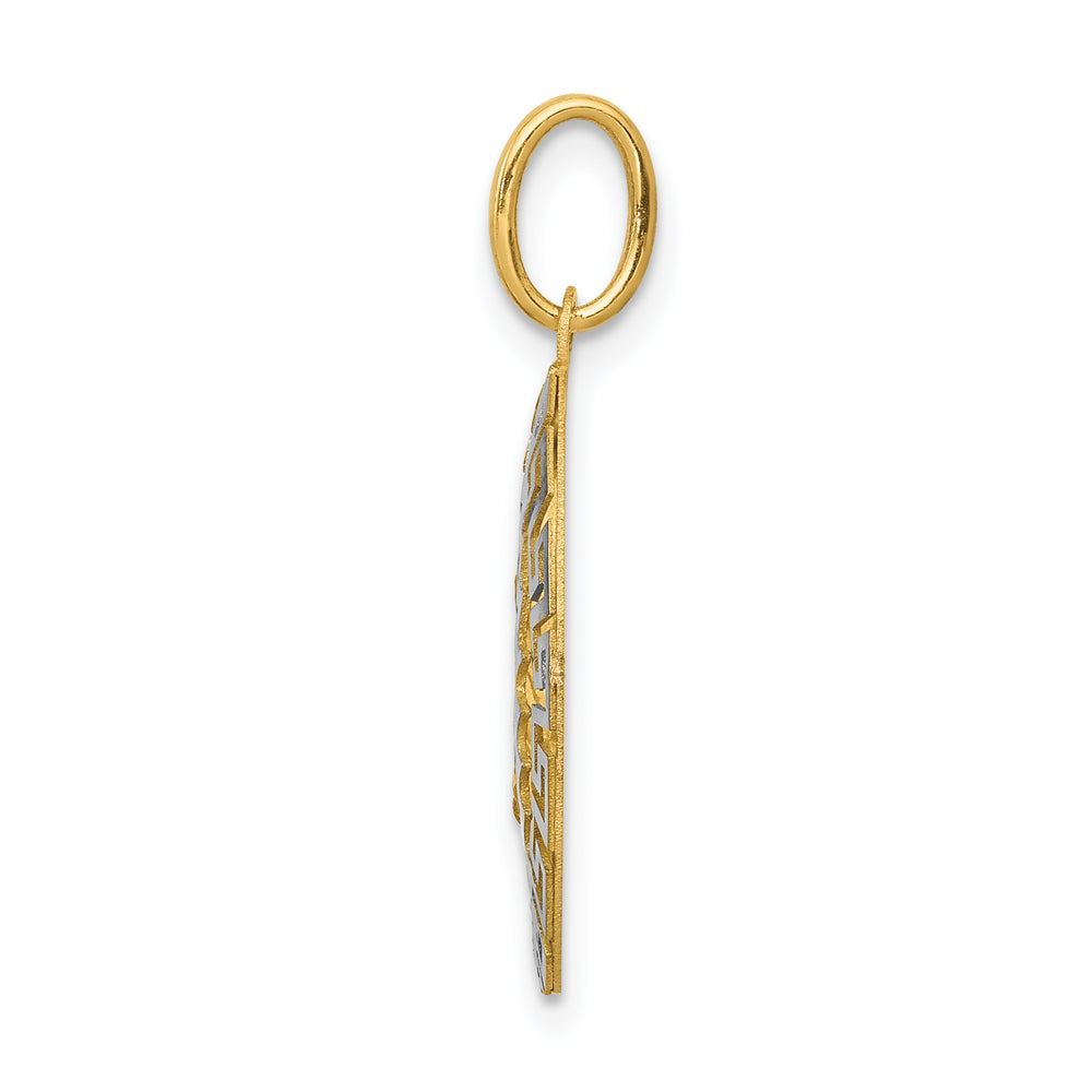 14k Two-Tone Our Lady Of Guadalupe Semi-solid Pendant