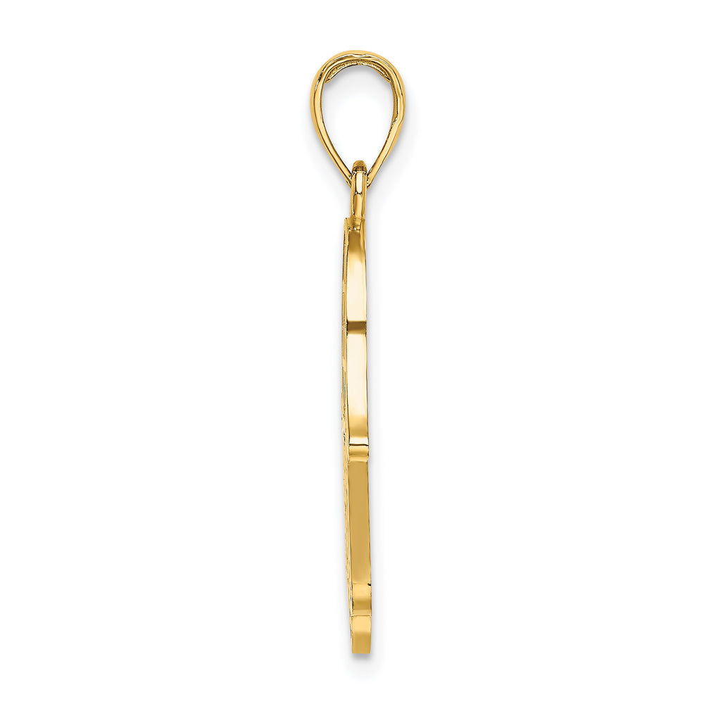 14K Chamseh W/ Star Of David Charm