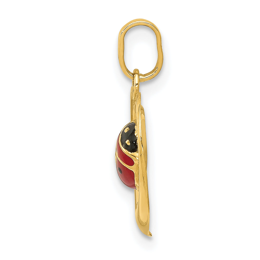 14k Enameled Ladybug in Heart Charm