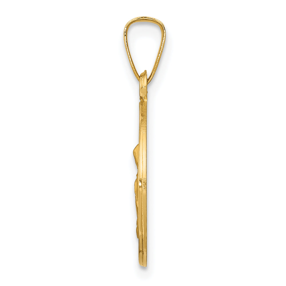 14k Polished and Satin St. Anne Medal Hollow Pendant