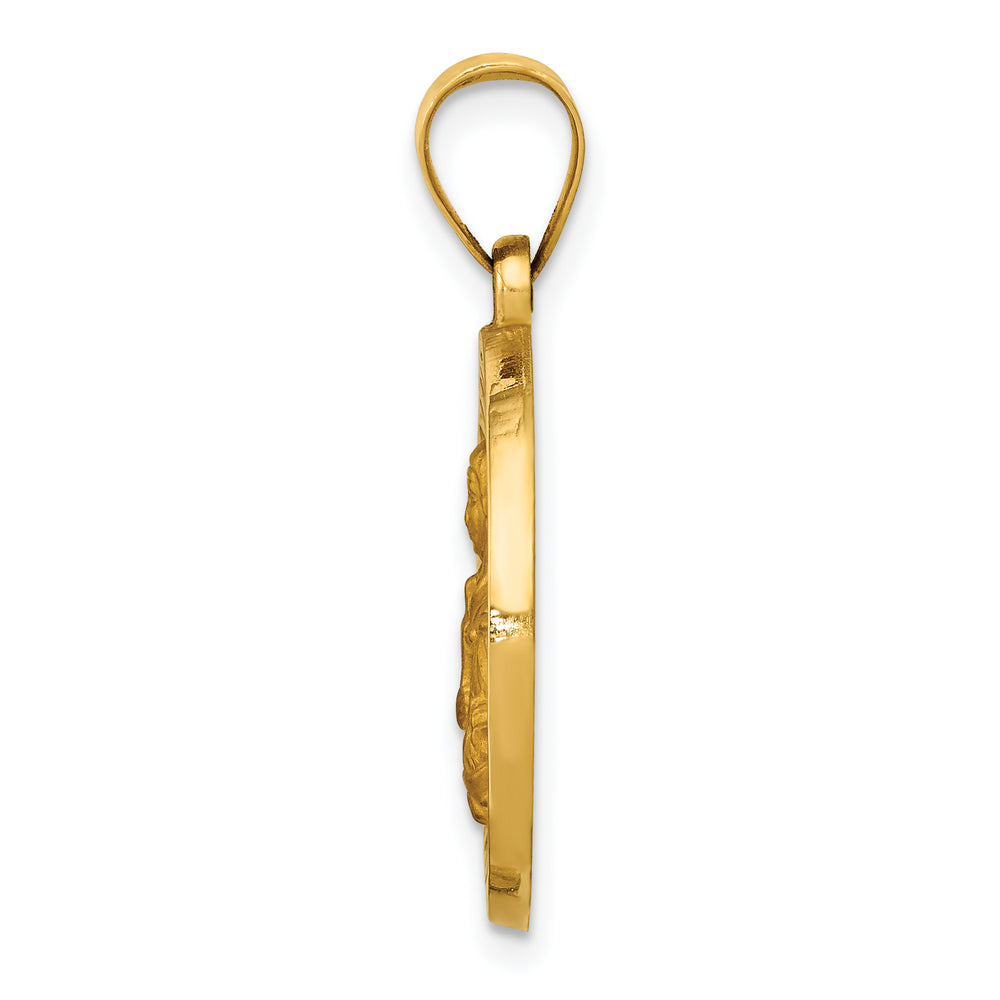 14K Polished/Satin St. Brigid Hollow Medal Pendant