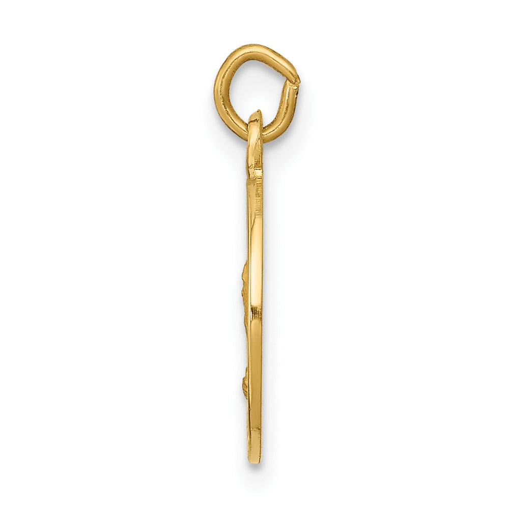 14k Saint Andrew Medal Charm