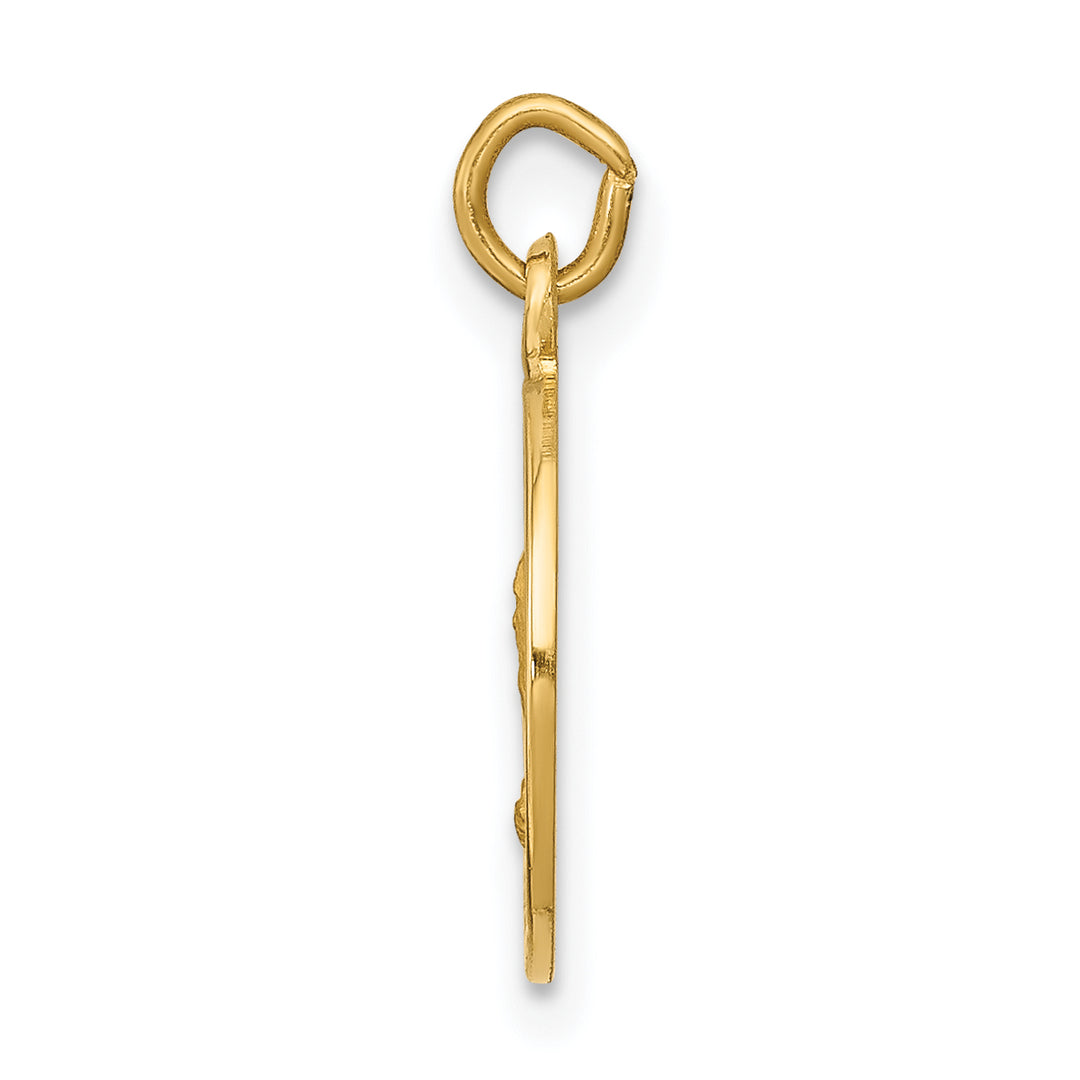 14k Saint Andrew Medal Charm