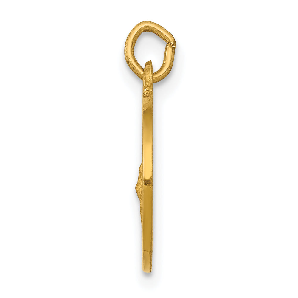 14k Saint Gerard Medal Charm