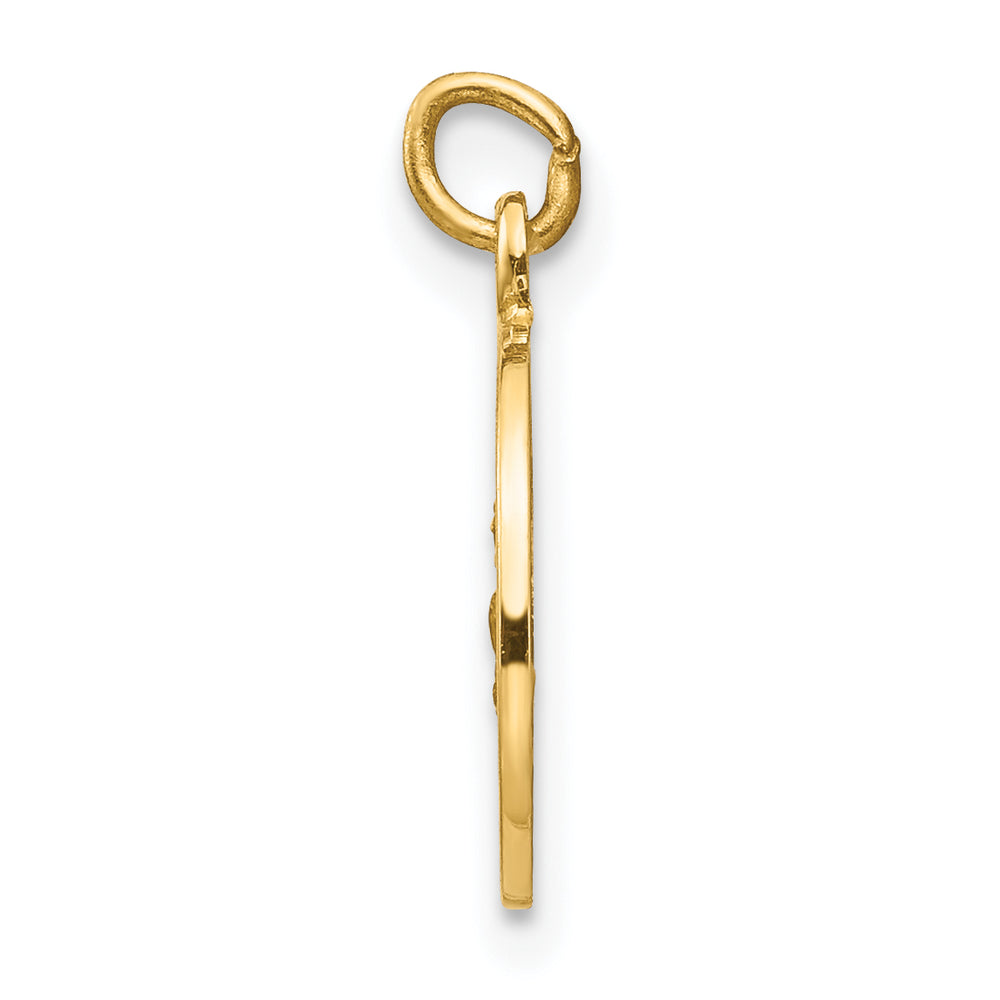 14k Saint Roch Medal Charm