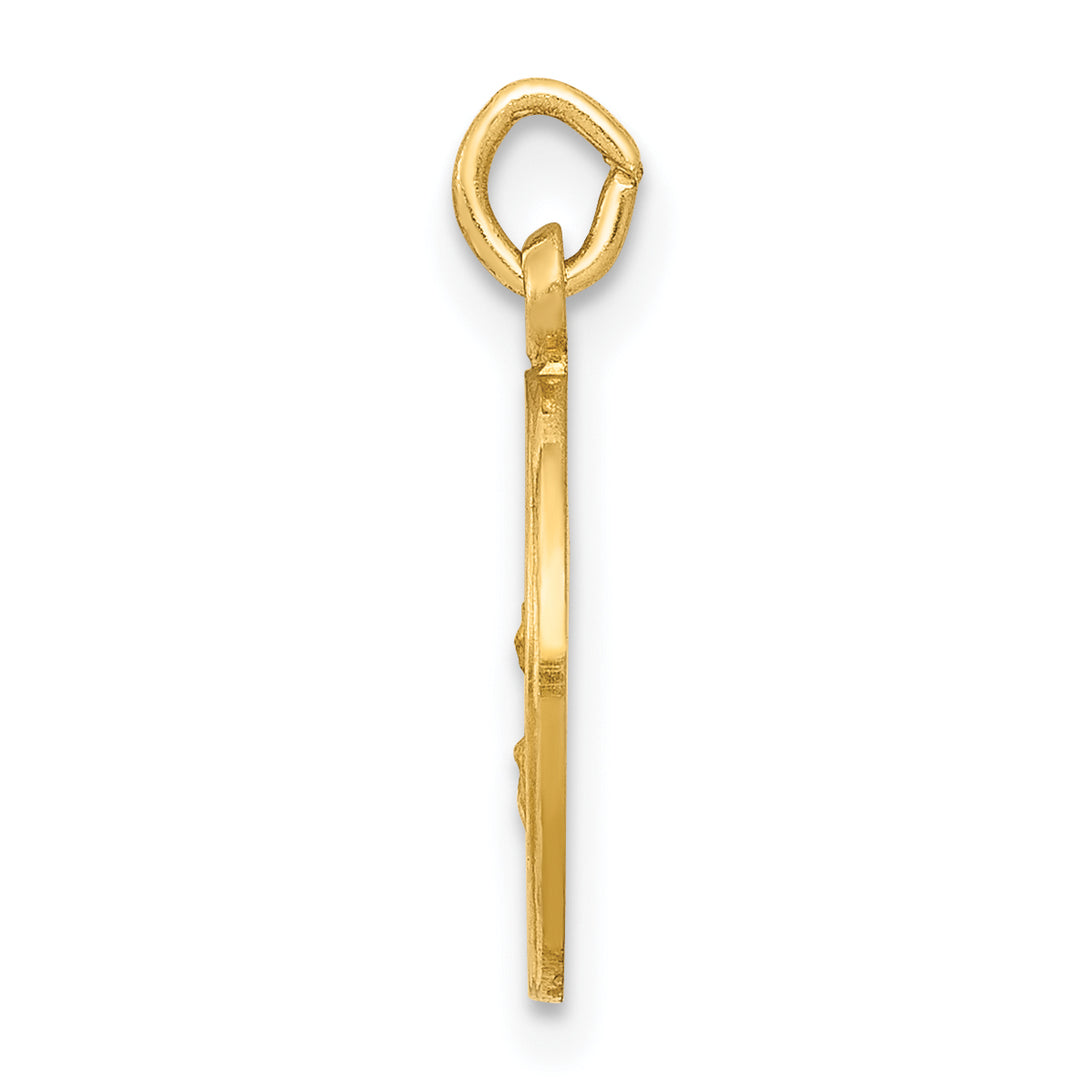 14k Our Lady Of The Assumption Medal Charm