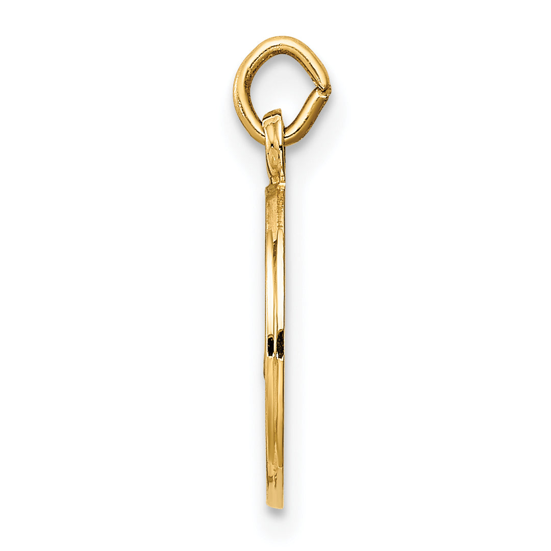 14K Caridad Del Cobre Medal Charm