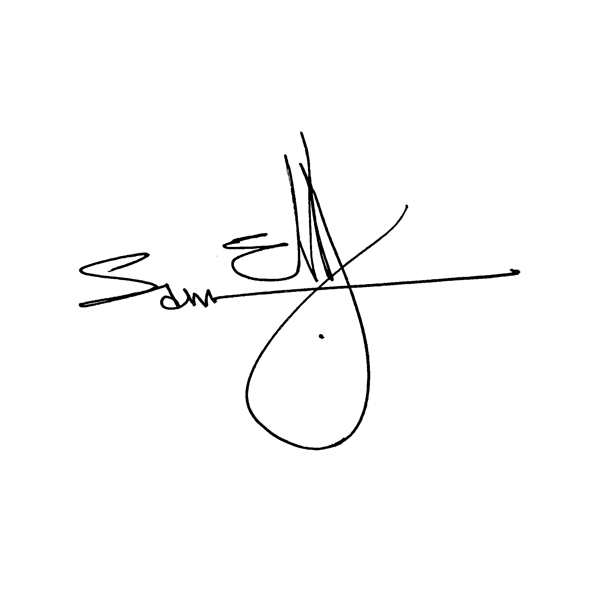 Sameh Elhennawy Signature